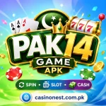 PAK14 Game Apk