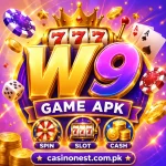 W9 Game Apk