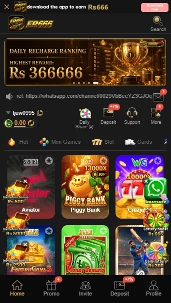 ER666 Game
